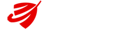 hockey-logo